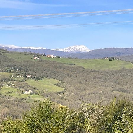B&B Camelia Camugnano Zewnętrze zdjęcie