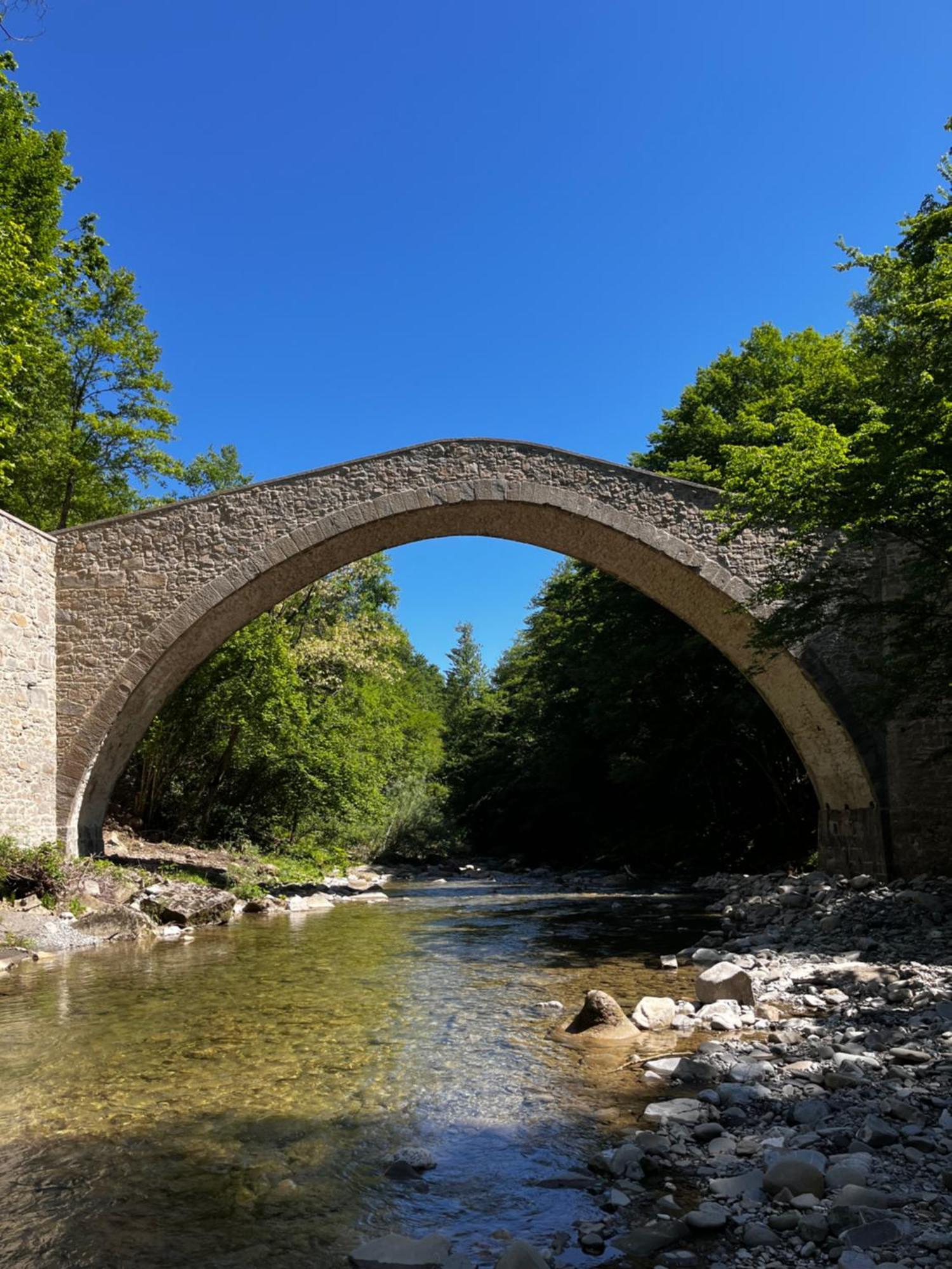 B&B Camelia Camugnano Zewnętrze zdjęcie