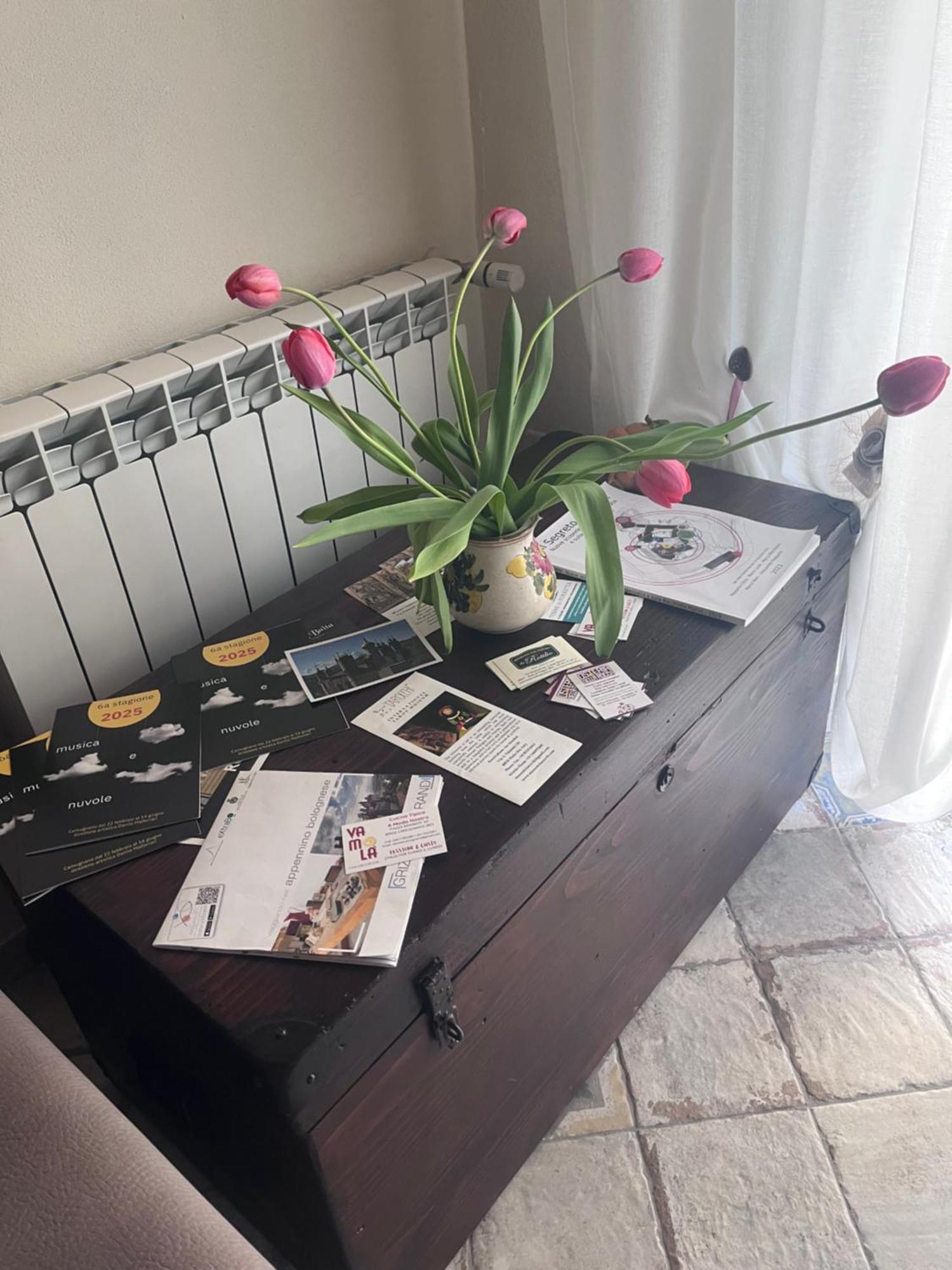 B&B Camelia Camugnano Zewnętrze zdjęcie