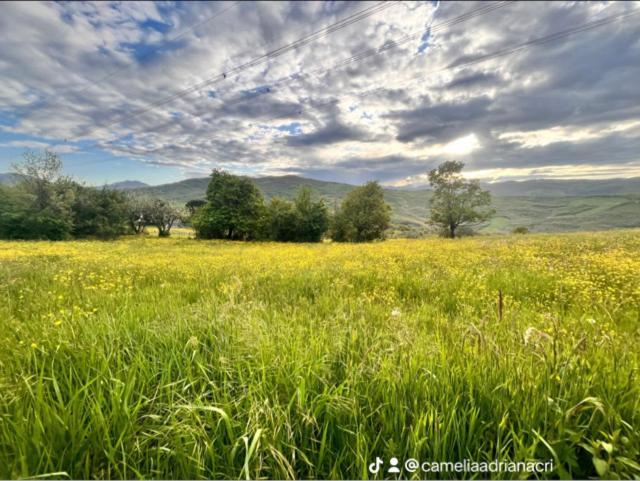 B&B Camelia Camugnano Zewnętrze zdjęcie